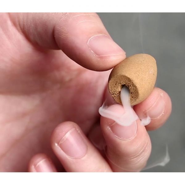 Ароматичні конуси для Backflow Ayurvedic BACK FLOW Конуси Пало Санто