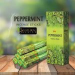 Ароматичні палички RAJ PEPPERMINT (шестигранник) Перечна м'ята