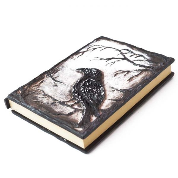 Магічний набір МОВА ВОРОНА